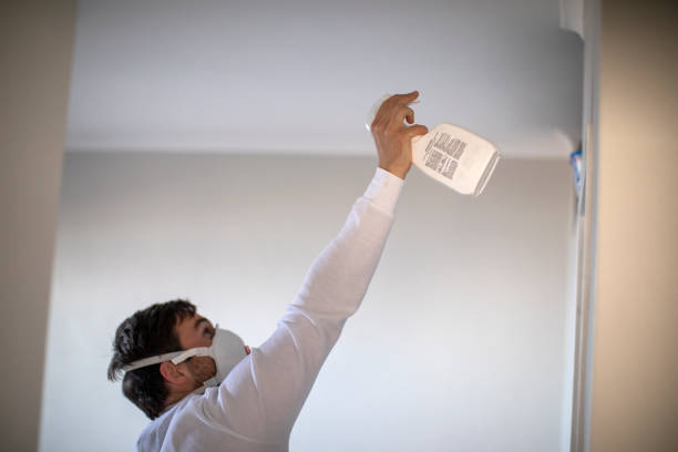 Best Black Mold Removal  in Fort Loramie, OH